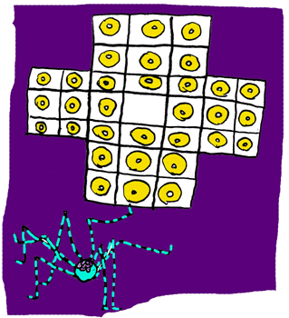 Matemáticas en solitario Spider10