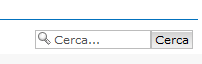 Eliminare Tasto Cerca 12967410