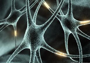 Guarire dalla Sclerosi Multipla / SLA e malattie correlate Neuron10