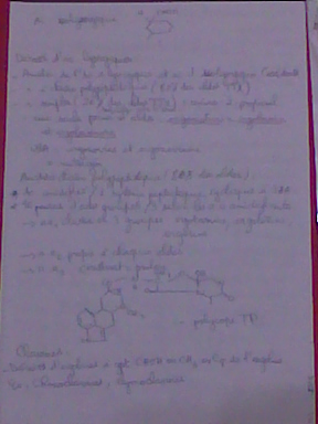 Cours (Pharmacognosie) (2010/2011) - Page 14 Photo013