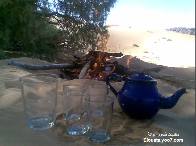 الشاي الصحراوي من أعماق الواتة  رووووعــة 30-01-11