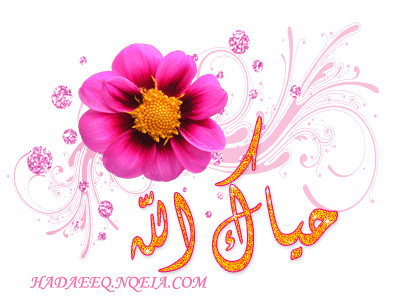 انا جديد 11002_10