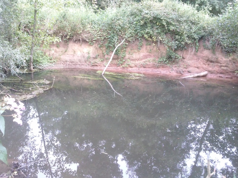 Pêche en rivière. Cam00111