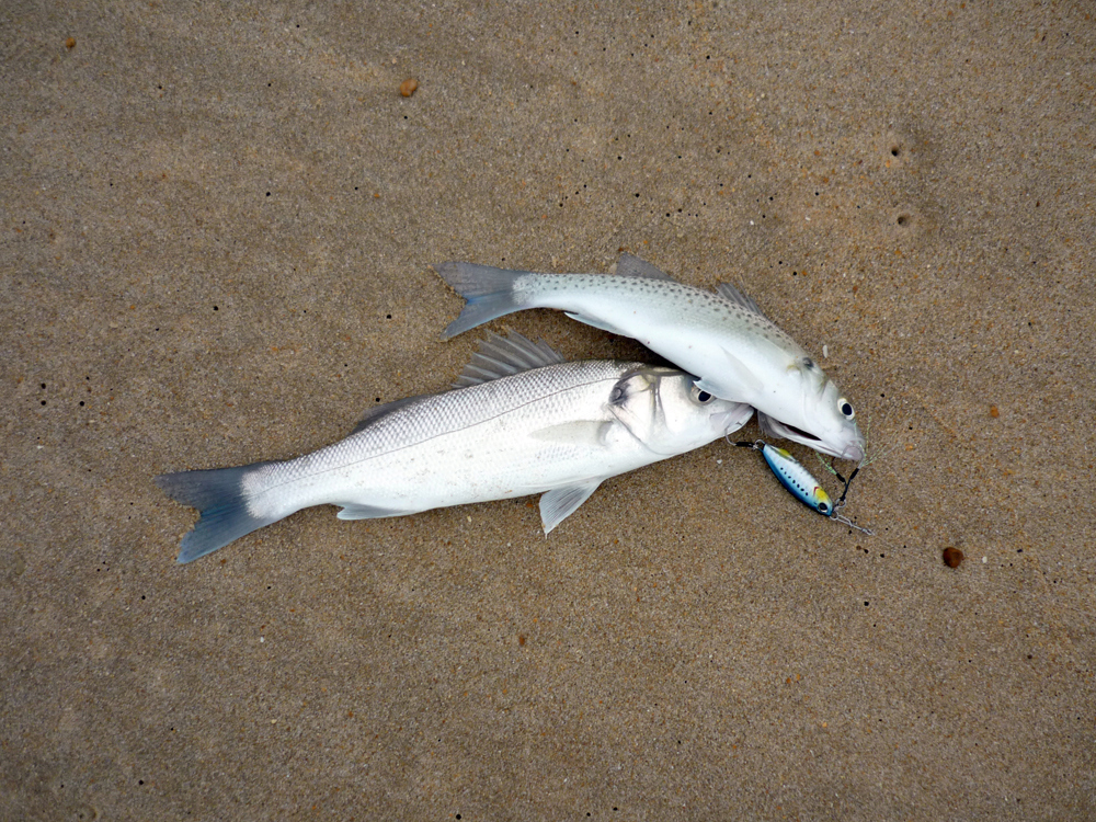 pêche dans les baines Doublz12