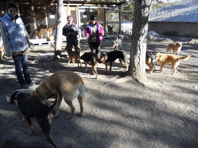 REFUGE ET PROMENADES LES 27 ET 30 JANVIER 2011 Groupe11