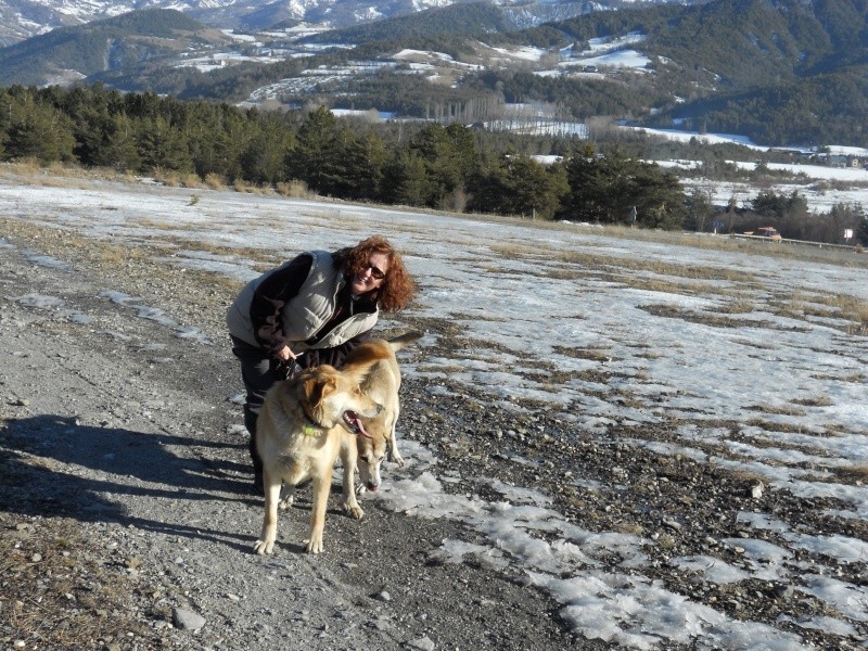 REFUGE ET PROMENADES LES 27 ET 30 JANVIER 2011 Tancre11