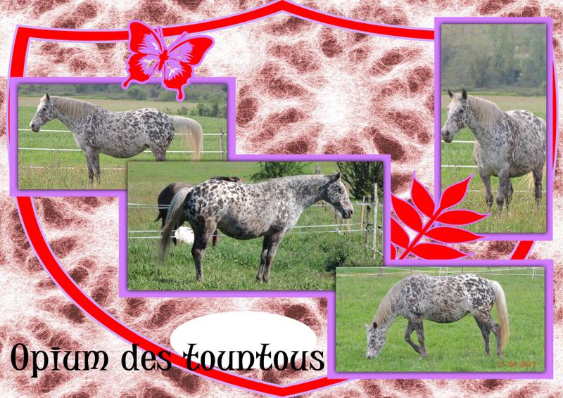 Mes petits montages photo!! - Page 2 Opium_16