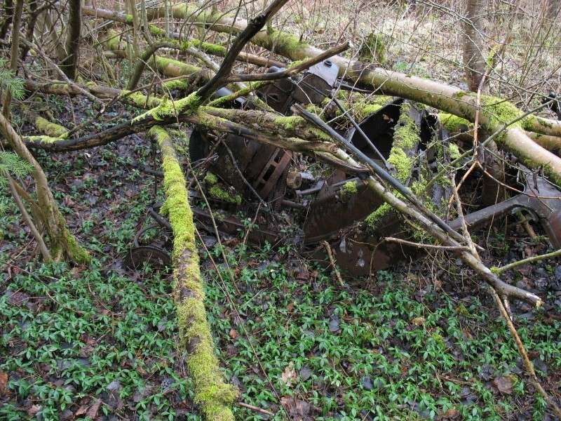 Oublié dans les bois! Photo_12