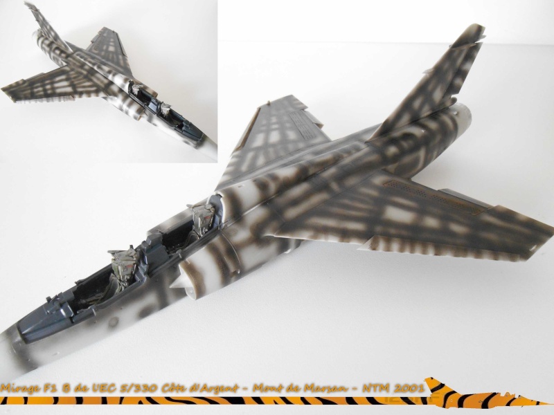 MIRAGE F1 B de l'EC 5/330 Côte d'Argent - Mont de Marsan - Tiger meet 2001 [KITTY HAWK] -1/48  (mf1b) - Page 2 Q10