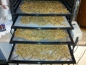 Homemade Crystal Malt (CaraPils) 2011-011