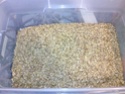 Homemade Crystal Malt (CaraPils) 2011-012