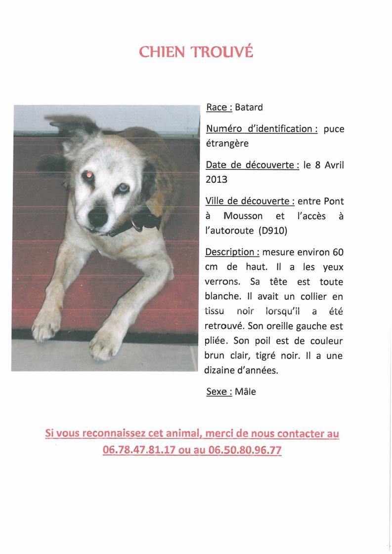 chien trouve pres de pont a mousson  Skmbt_10