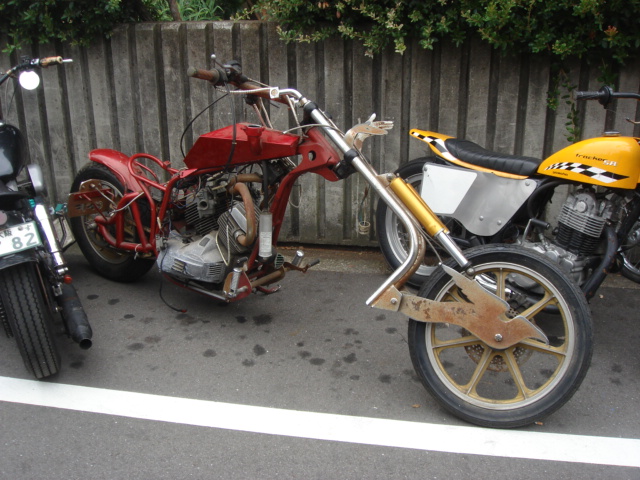 Mutilation Morinesque Moto-m11