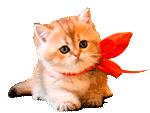 اكتشاف طبي عظيم في سورة يوسف Little10