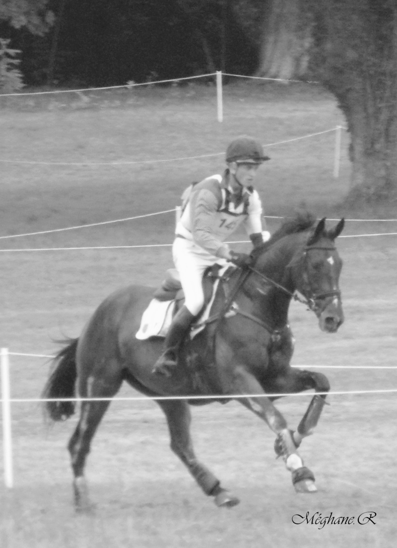 Un peu de cross ... et de dressage  Dscf8410