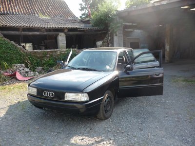 Ma polo 6n 26679410