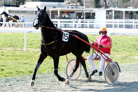 CAGNES sur Mer - QUINTE - VENDREDI 1er/03/2013 Reyes10