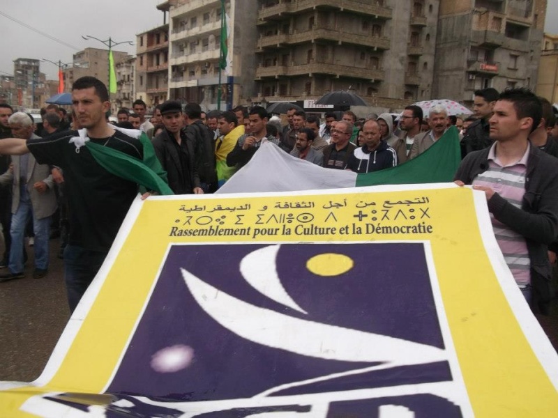 Marche du 20 Avril 2013 à Bgayet:  Une forte mobilisation pour l'officialisation de Tamazight  - Page 3 320