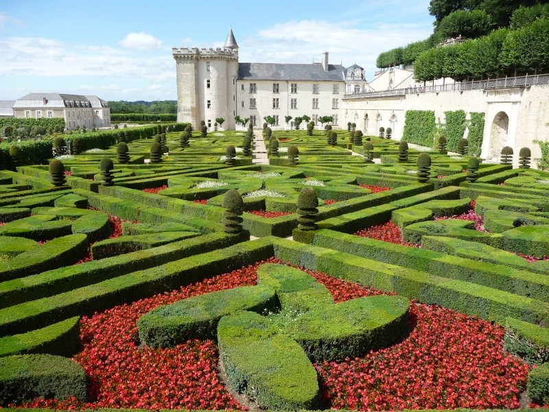Château de Villandry et ses jardins P1110325