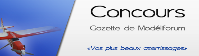 Concours Gazette de Modeliforum - Page 2 Img_co10