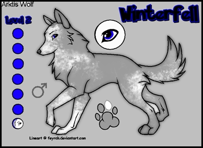 Winterfell&Leyla Winter10