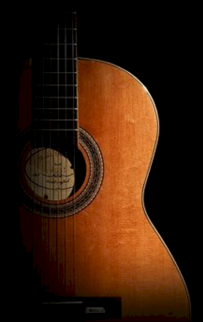 CAJÓN DE SASTRE Guitar10