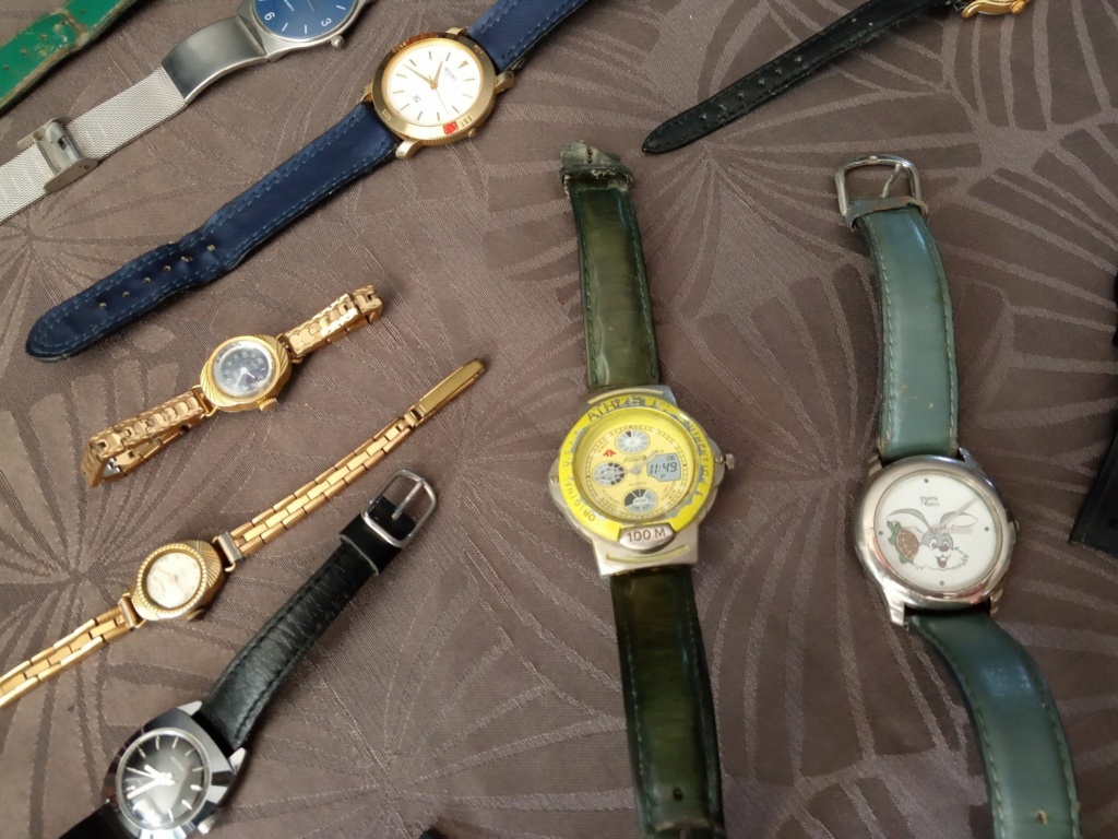 Identification Montres ? 16056310