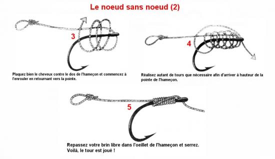 Sujet: Les différents type de noeud pour la peche a la carpe Le-noe11