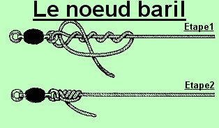 Sujet: Les différents type de noeud pour la peche a la carpe Noeud310