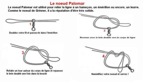 Sujet: Les différents type de noeud pour la peche a la carpe