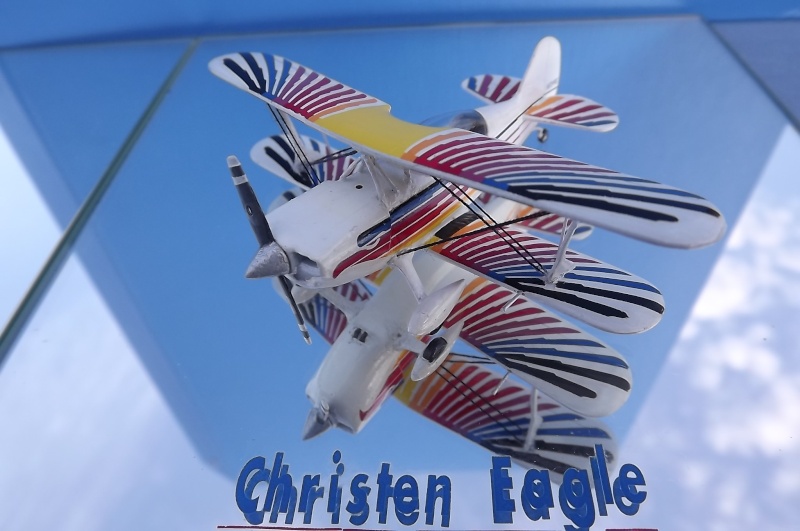 Christen Eagle Dscf3284