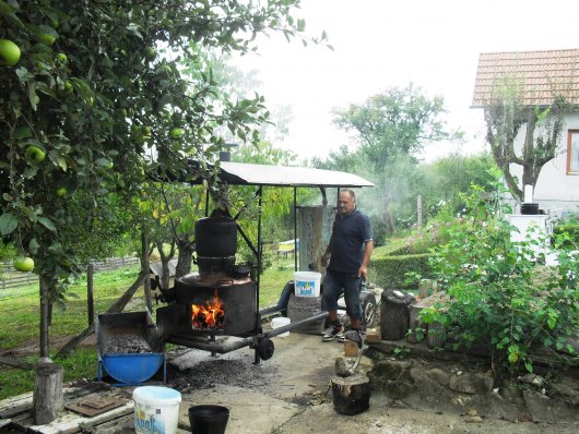 U Višnjiku se peće rakija Peaenj11