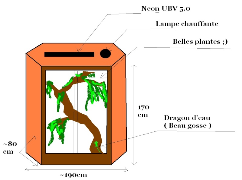 Création terrarium dragon d'eau Plan_t10