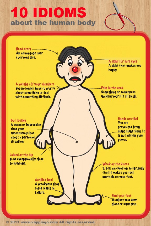 10 Idioms About the Human Body Infogr10