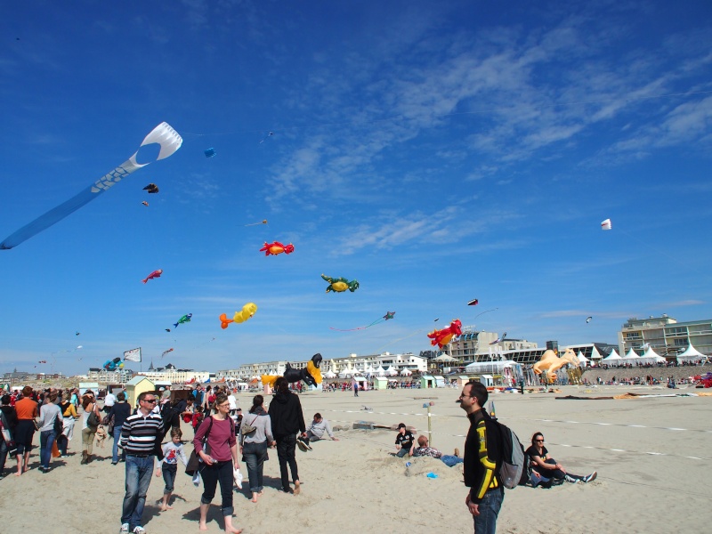 festival du cerf volant 2013 à Berck sur mer P1011014