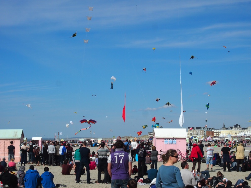 festival du cerf volant 2013 à Berck sur mer P1011016