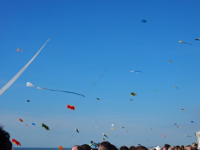 festival du cerf volant 2013 à Berck sur mer P1011018