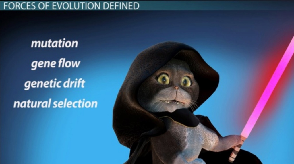 What are the REAL mechanisms of biodiversity, replacing macroevolution? 1222