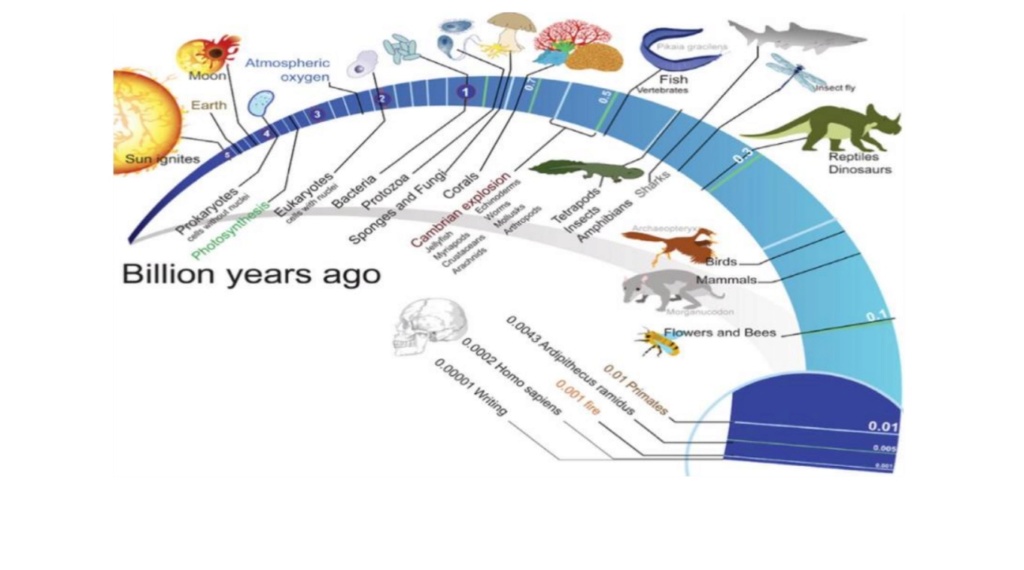 What are the REAL mechanisms of biodiversity, replacing macroevolution?  12345613