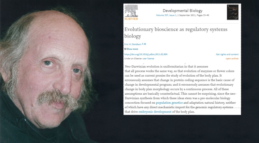 What are the REAL mechanisms of biodiversity, replacing macroevolution?  1721