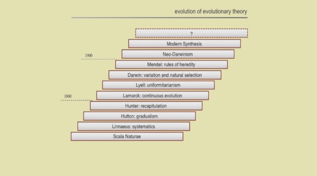 What are the REAL mechanisms of biodiversity, replacing macroevolution?  1921