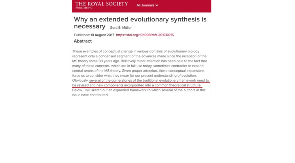 What are the REAL mechanisms of biodiversity, replacing macroevolution?  2019