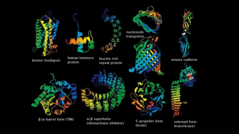 Awe-inspiring biophoton cell-cell communication points to design  2320