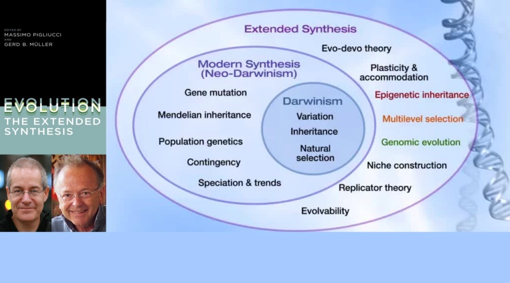 What are the REAL mechanisms of biodiversity, replacing macroevolution?  2916