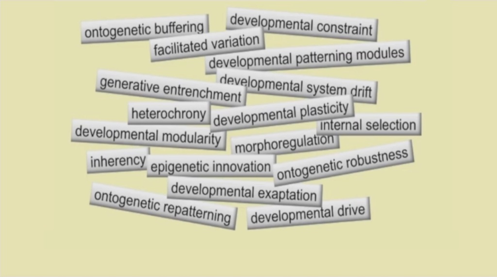 What are the REAL mechanisms of biodiversity, replacing macroevolution?  3114