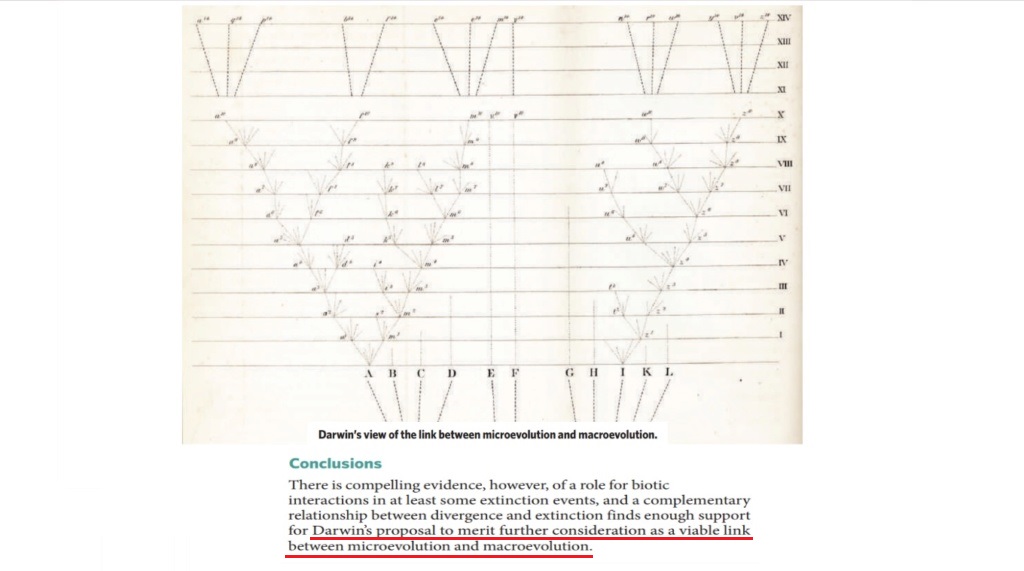 What are the REAL mechanisms of biodiversity, replacing macroevolution?  3417