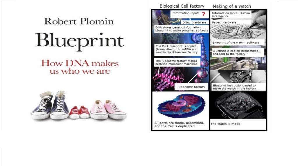 What are the REAL mechanisms of biodiversity, replacing macroevolution?  421