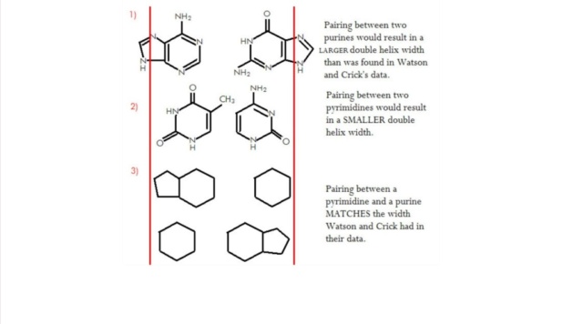 Evidence shows that life depends on the right order and arrangement even of atoms !! 941010