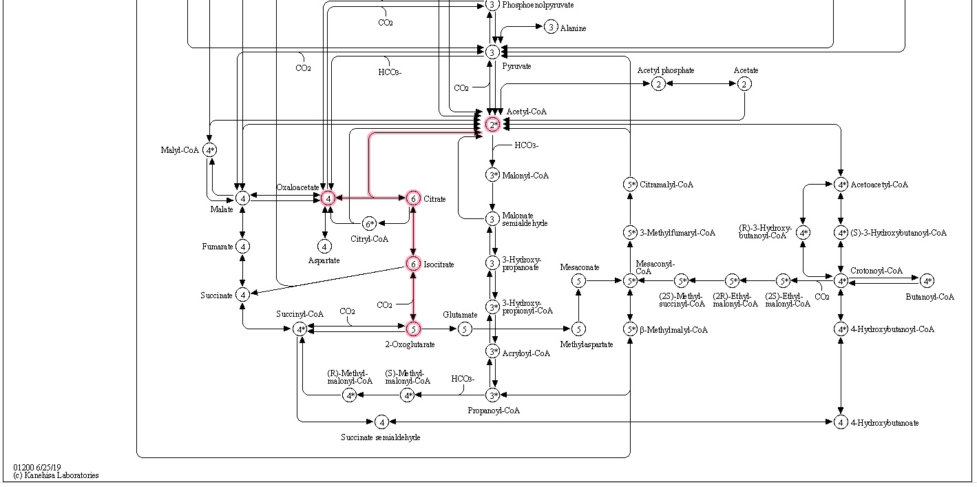 Carbon metabolism is the most basic aspect of life. Carbon10