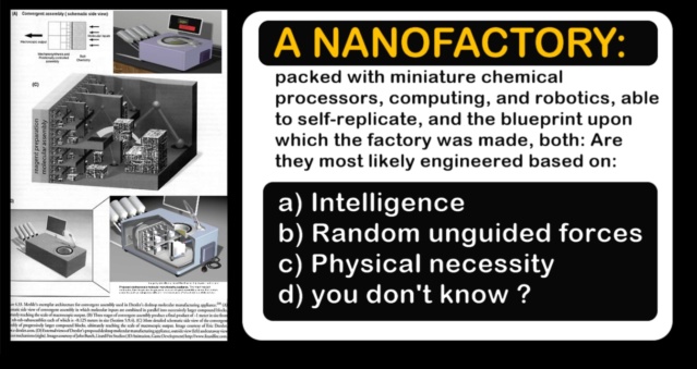Abiogenesis: The factory maker argument Nanofa10